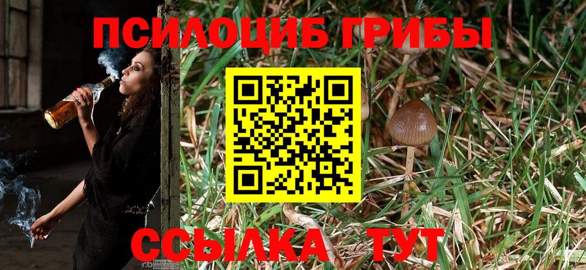 Псилоцибиновые грибы Psilocybine cubensis Ивантеевка